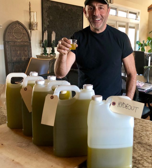 Olive Oil 2019